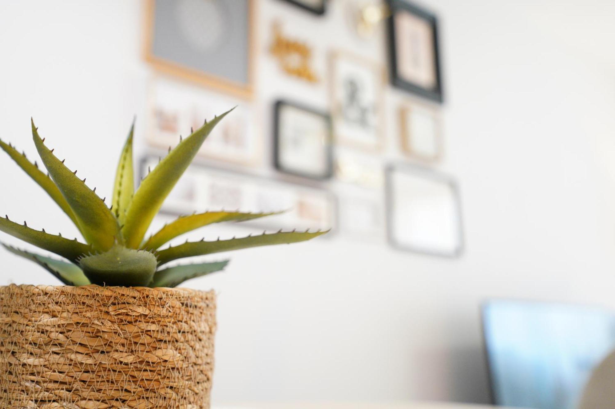 Apartamento Arena En Playa De San Juan Alicante Exteriér fotografie